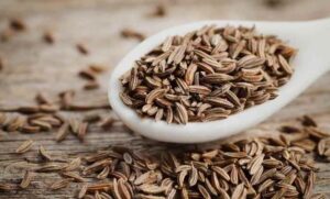 Nature's Bounty: Traditional Herbal Remedies from the Sunnah Cumin (Cuminum Cyminum)