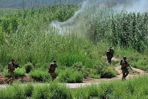 Militants Kill 23 Farmers and Fishermen in Deadly Attack in Borno State, Nigeria Militants Kill 23 Farmers and Fishermen in Deadly Attack in Borno State, Nigeria