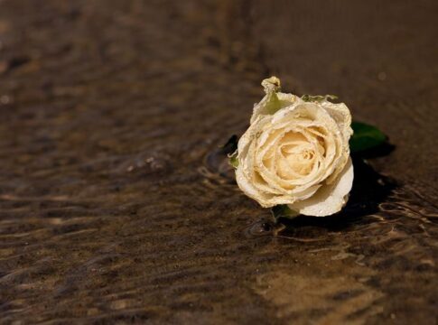 The Inspiring Story of Zainab Bint Muhammad