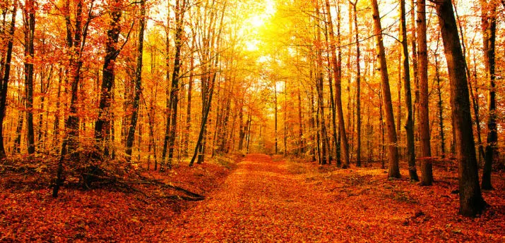 Understanding the Ten Commandments in the Quran from Allah Almighty