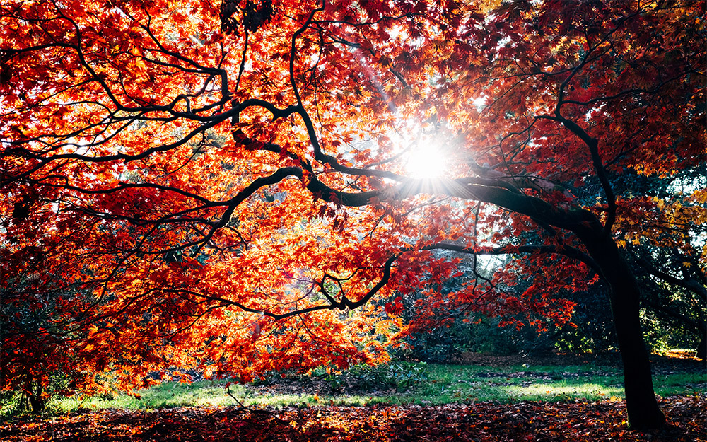 Discovering True Happiness: 20 Easy Ways to Attain Joy and Contentment in Islam