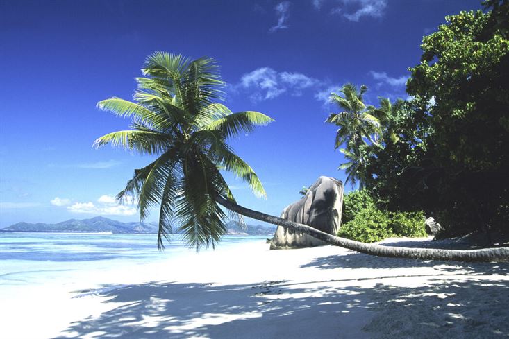 The Timeless Prayer of Prophet Adam (AS): A Du’a for Forgiveness and Redemption