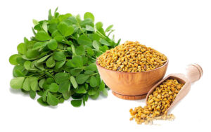 Fenugreek (Trigonella Foenum-Graecum)