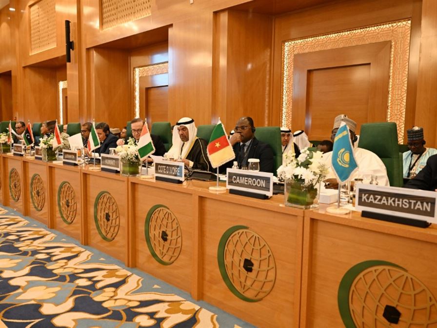 Muslim Nations Rally Behind Arab Proposal Against Trump’s Gaza Plan