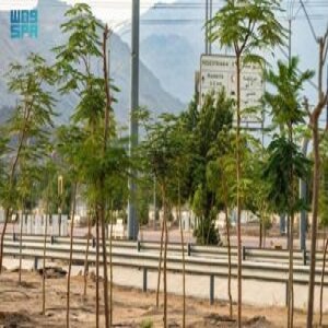 Arafat’s Green Makeover - Shade and Comfort for Millions of Hajj Pilgrims This Season